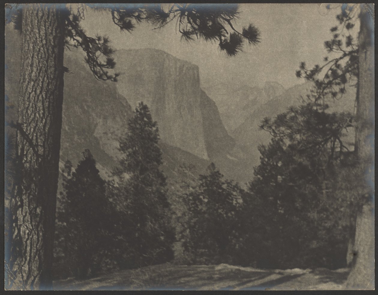 Yosemite, através dos pinheiros de Louis Fleckenstein