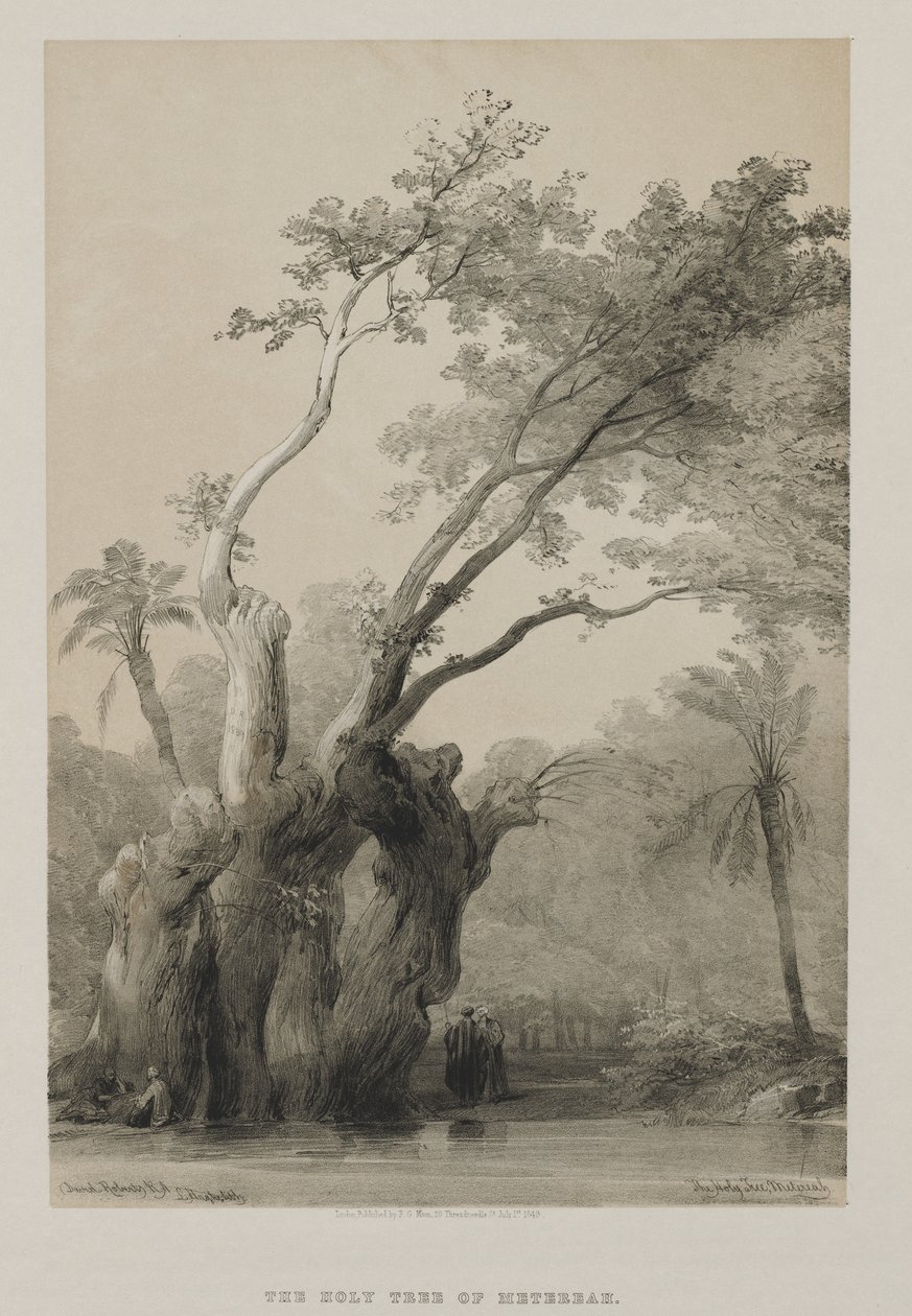 Egito e Núbia, Volume III: A Árvore Sagrada de Metereah, 1849. de Louis Haghe