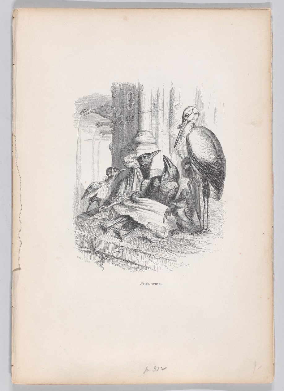 Eu era uma viúva de Cenas da Vida Privada e Pública dos Animais, ca. 1837-47. de Louis Henri Brévière