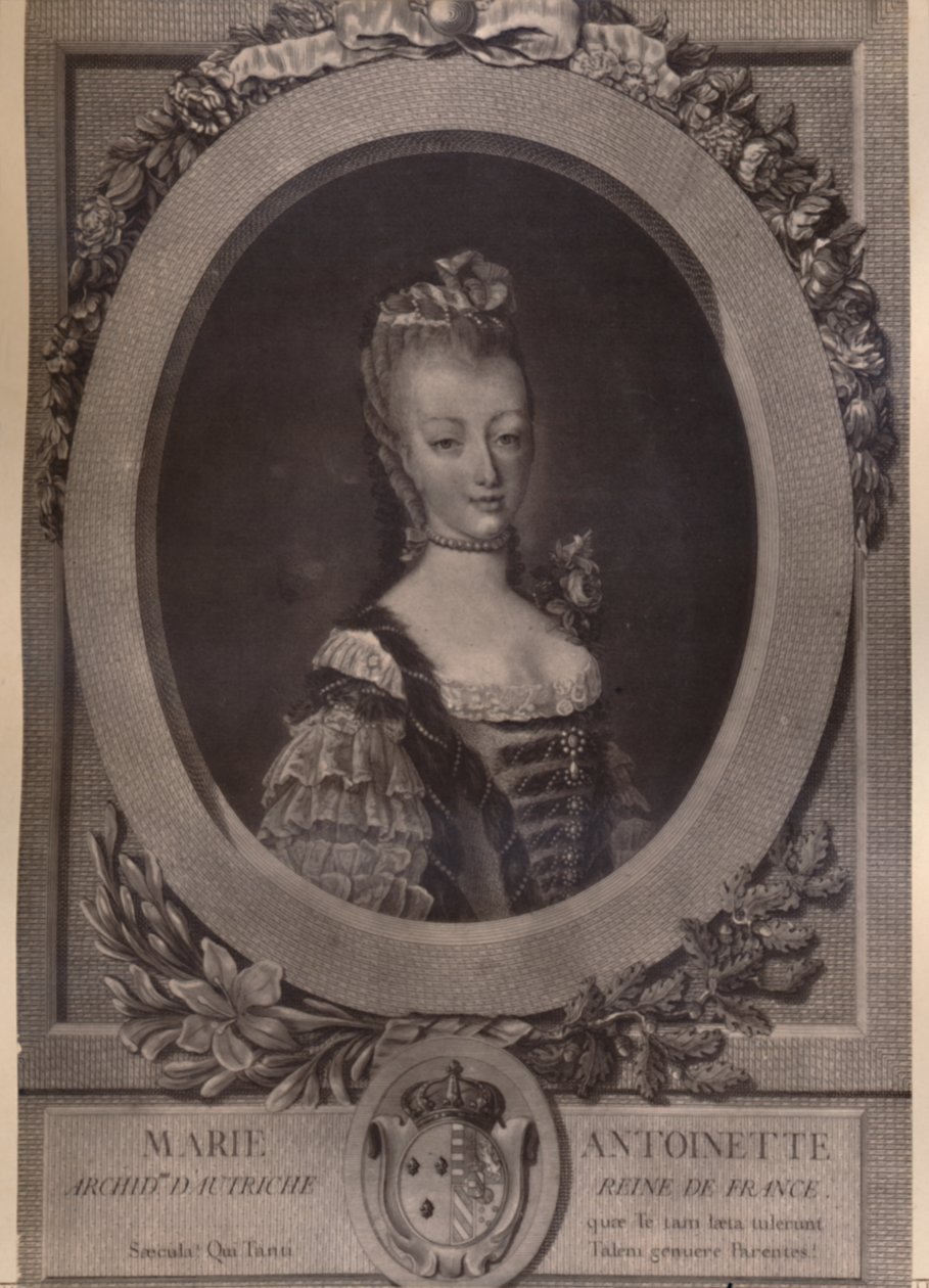 Marie Antoinette, rainha da França, final do século XVIII 1894. de Louis Jacques Cathelin