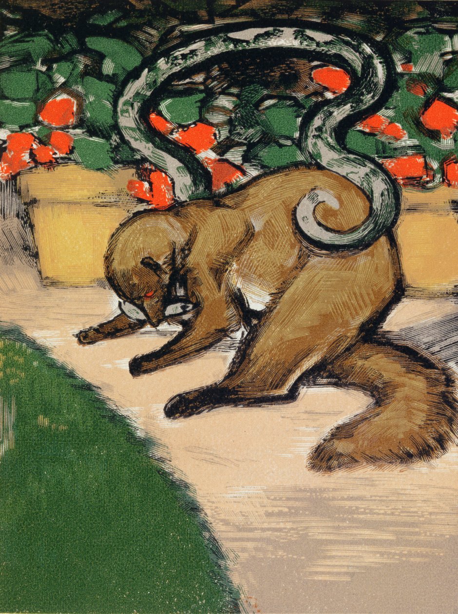 Rikki-Tikki-Tavi, ilustração de "O Livro da Selva" de Rudyard Kipling (1965-1936) publicada em Paris de Louis Joseph Soulas