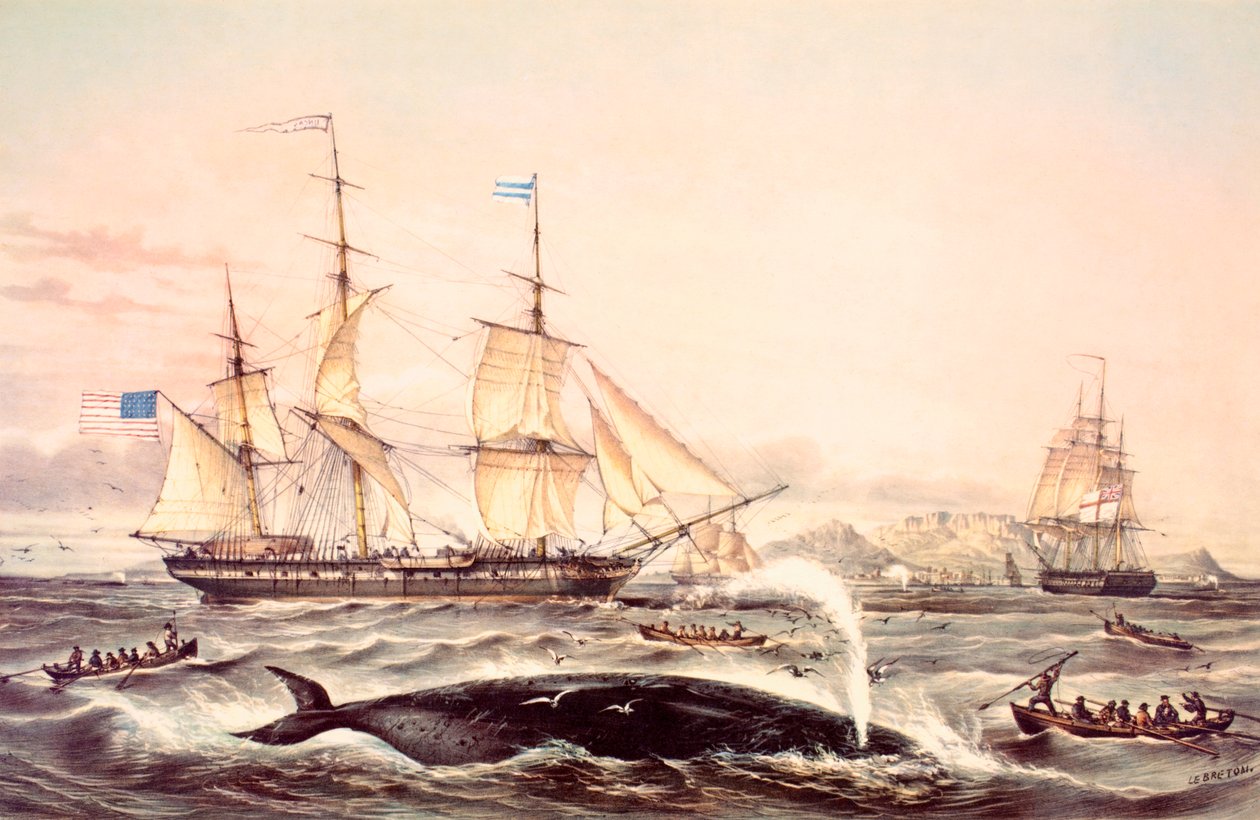 Baleeira fora do cabo da boa esperança de Louis Le Breton
