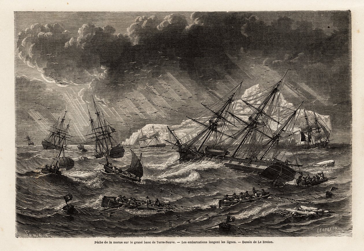 A pesca do bacalhau no Grand Bank of Newfoundland, os barcos seguem as linhas, desenhadas por Lebreton, para ilustrar a viagem à Terra Nova em 1860 por A. de Gobineau. Gravura em "Le tour du monde", editado por Edouard Charton de Louis Le Breton