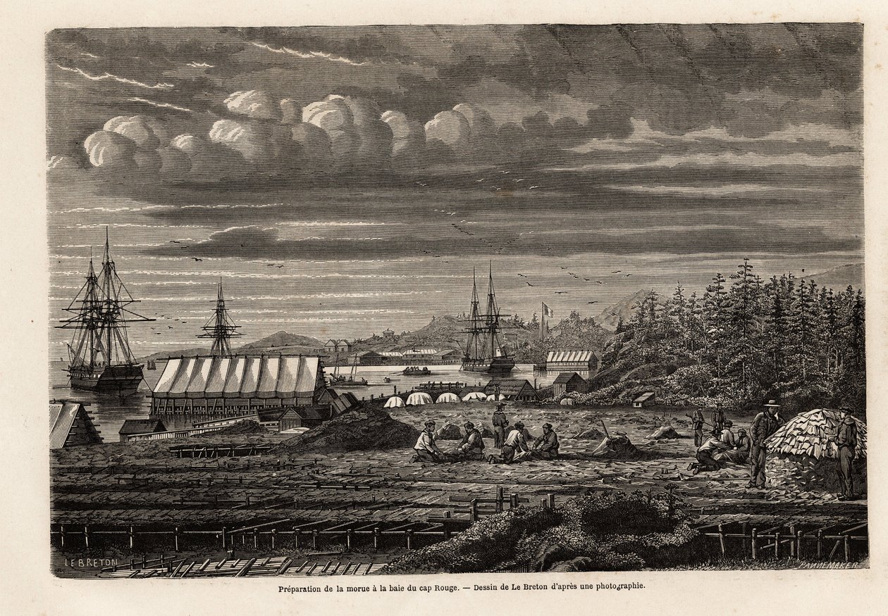 Preparação do bacalhau na baía de Cap Rouge, limpeza do peixe e coleta de fígados para extrair óleo da greve, depois salga na cabine sobre palafitas, desenho de Lebreton, para ilustrar a viagem à Terra Nova em 1860 por A. de Gobineau. Gravura em " de Louis Le Breton
