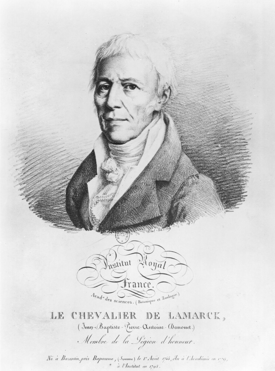 Retrato de Jean-Baptiste de Monet (1744-1829) Cavaleiro de Lamarck, de &39;Coleção de retratos de acadêmicos famosos&39;, início do século XIX de Louis Leopold Boilly