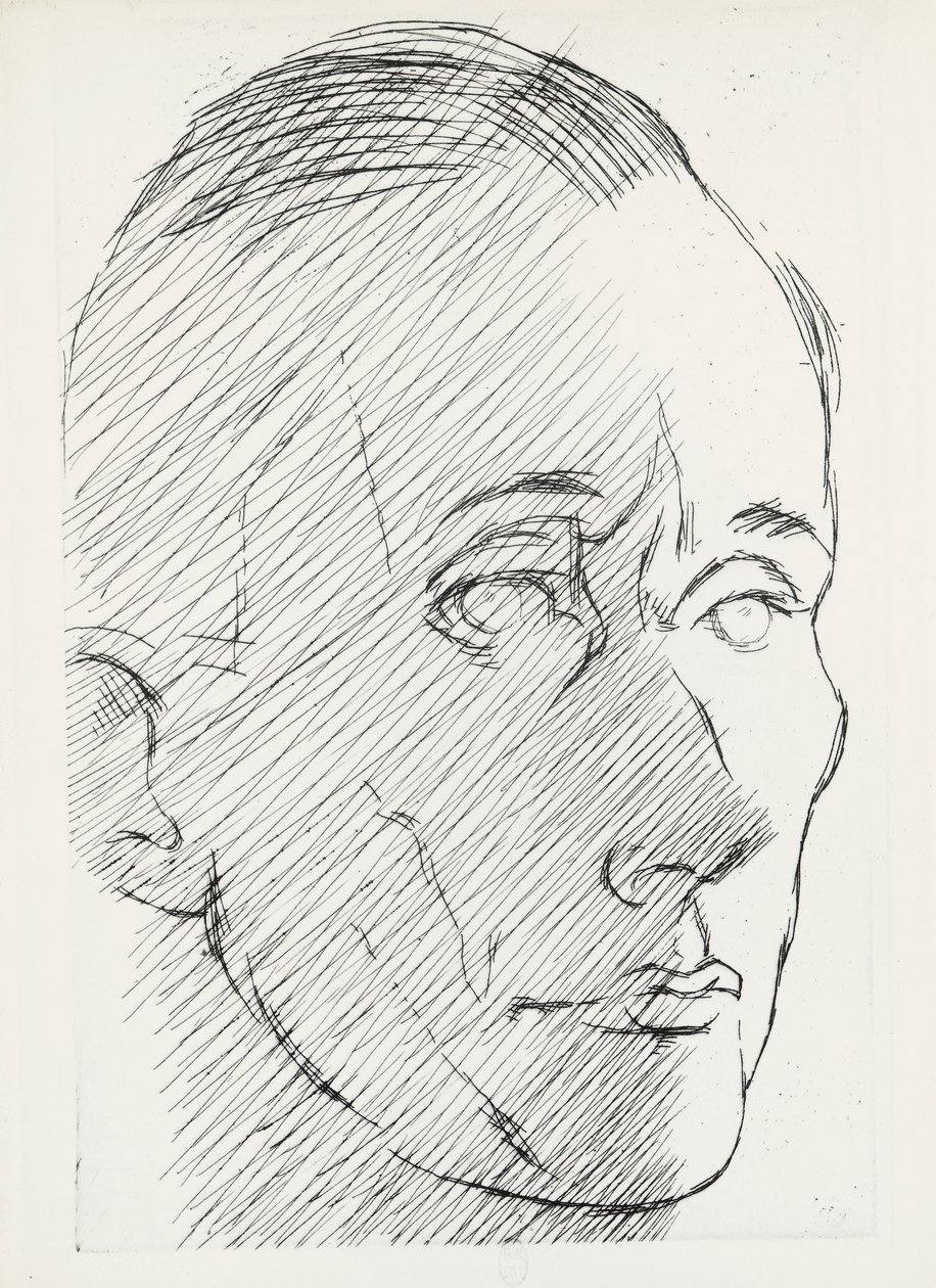 Retrato de Marc Chadourne (Brive de Louis Marcoussis