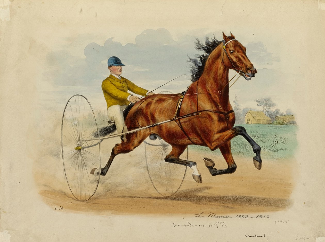 Stamboul de Louis Maurer