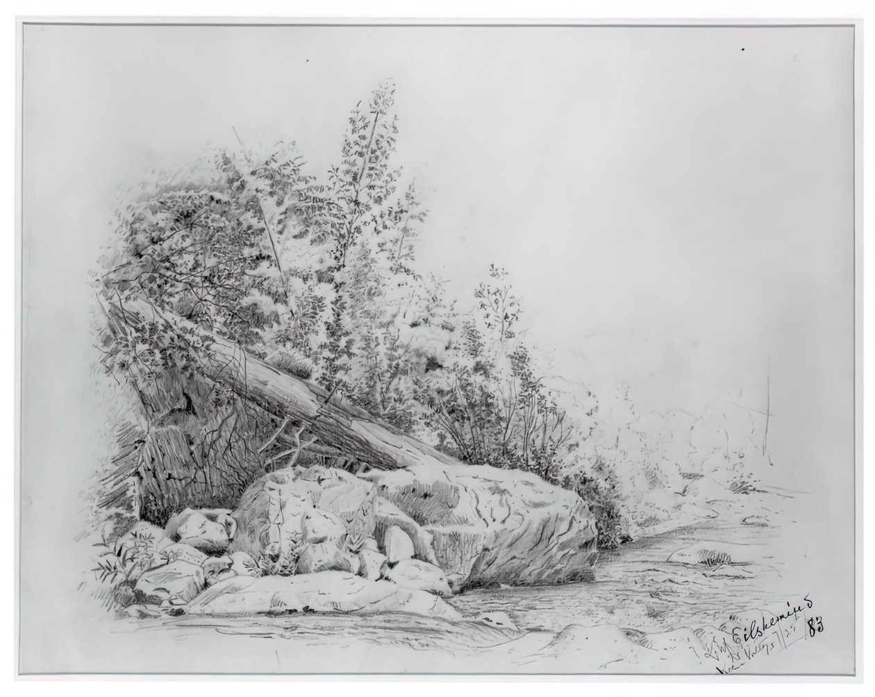 Fallen Tree, Keene Valley, 25 de Julho de 1883. de Louis Michel Eilshemius