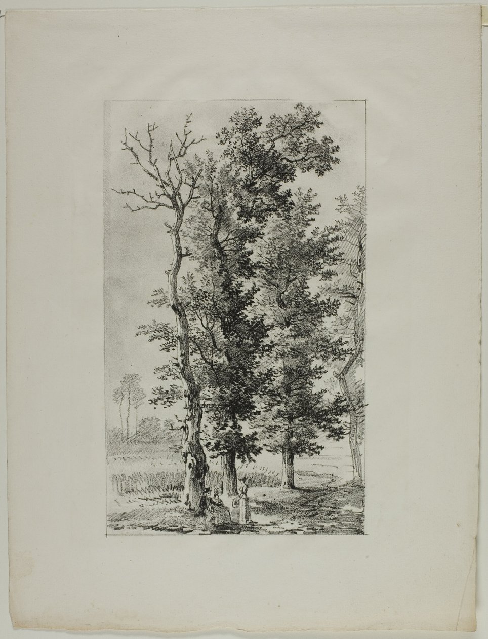 Estudo de Árvores de Louis Pierre Baltard