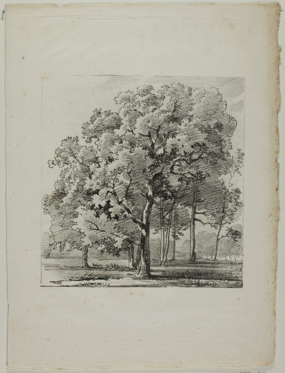 Estudo de Árvores de Louis Pierre Baltard