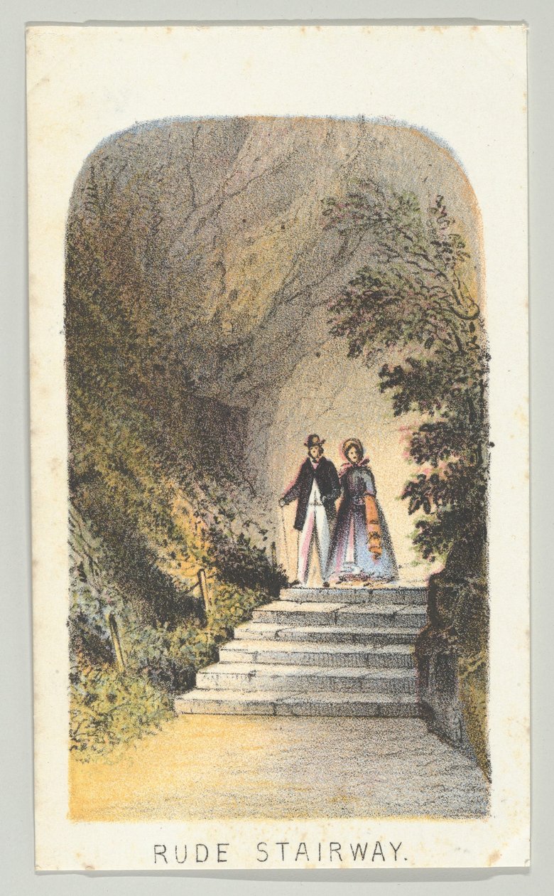 Rude Stairway, da série, Views in Central Park, New York, Parte 2, 1864. de Louis Prang