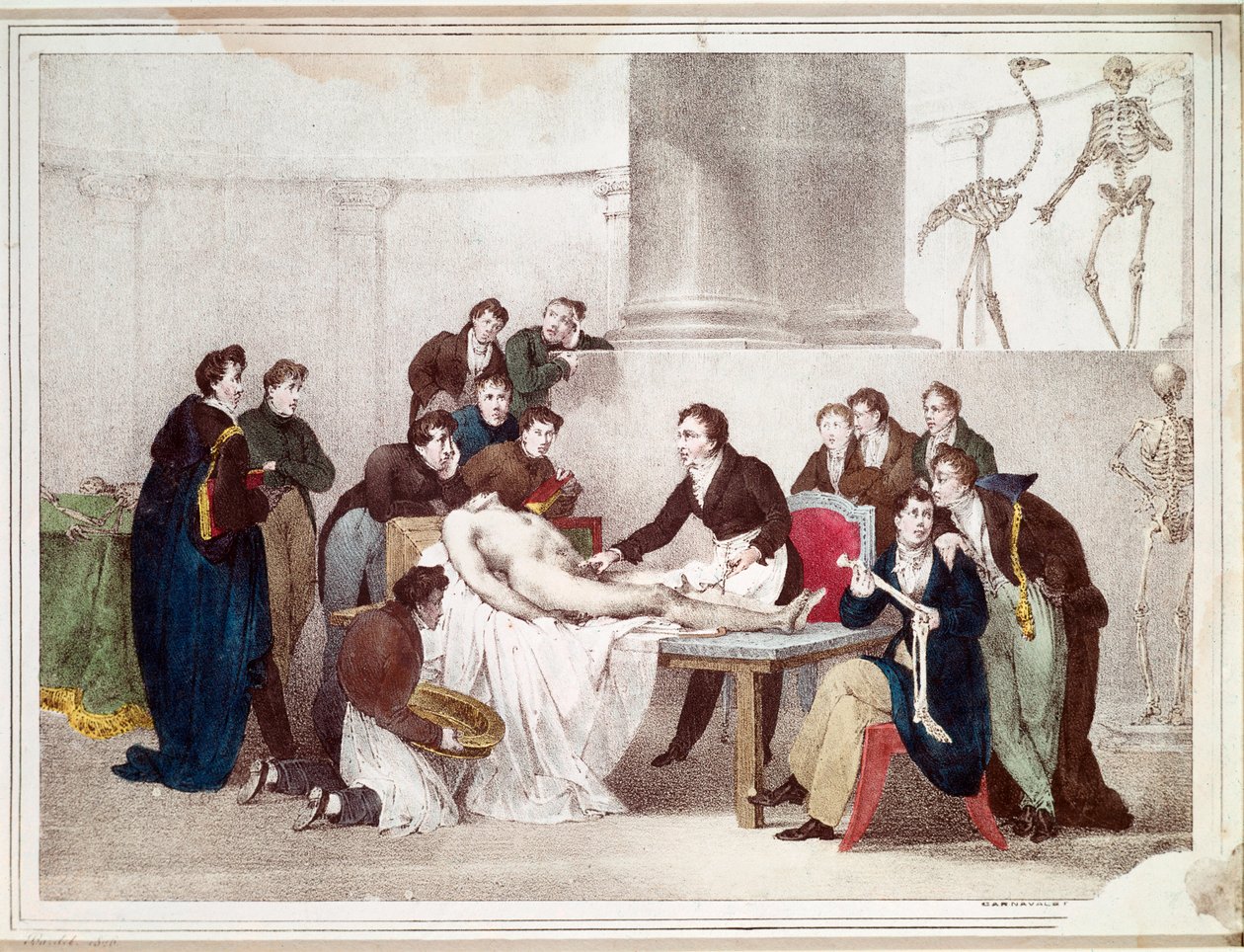 A Aula de Anatomia (litografia de Louis Thomas Bardel