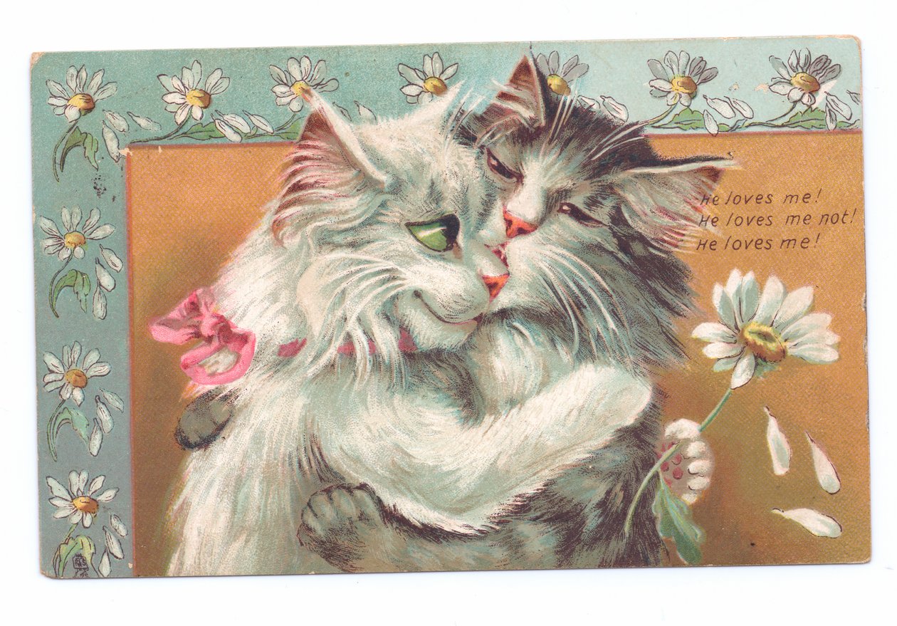 Cartão eduardiano de dois gatos abraçando uns aos outros, c.1910 de Louis Wain