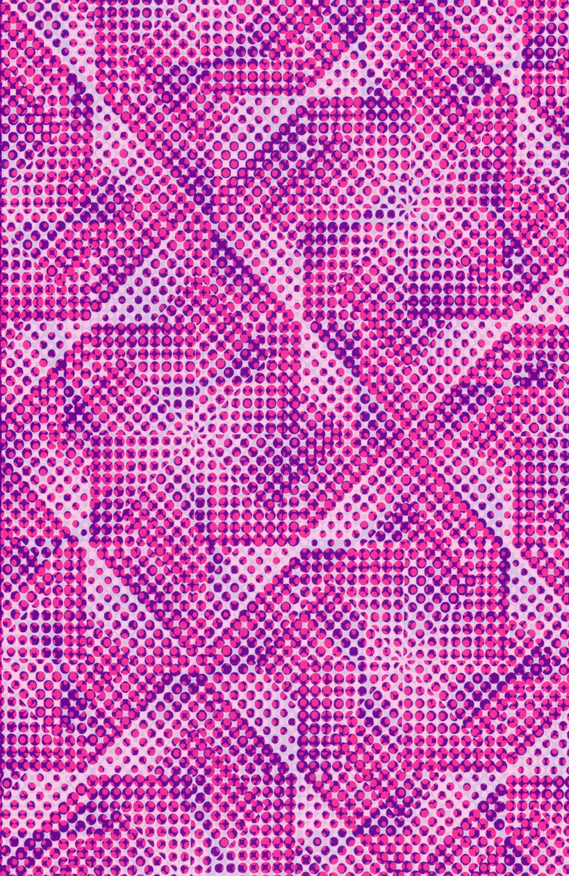 Dotty (digital) de Louisa Hereford
