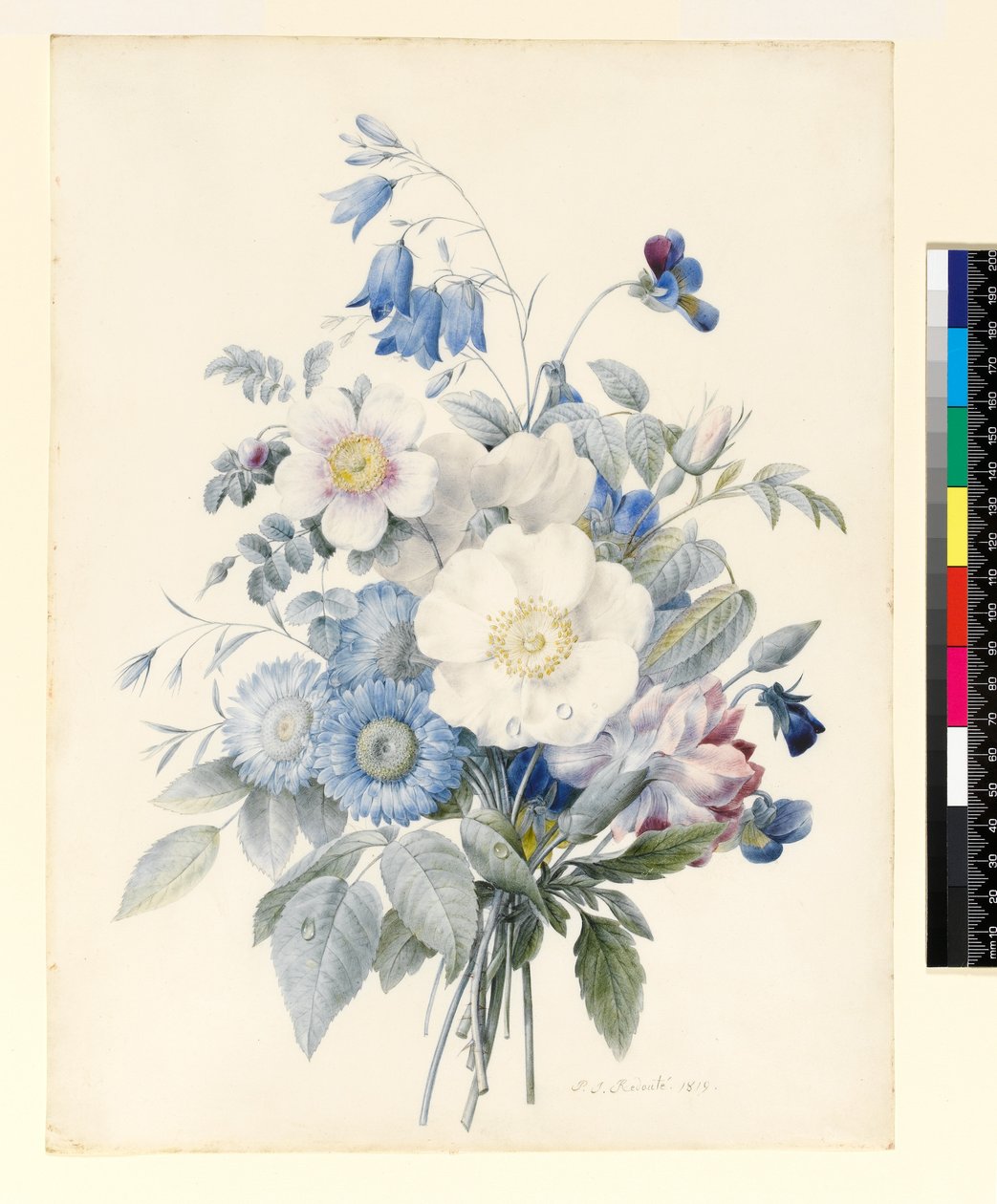 PD.847-1973 Um Spray de Flores de Verão, 1820 (wc e guache sobre velino) de Louise DOrleans