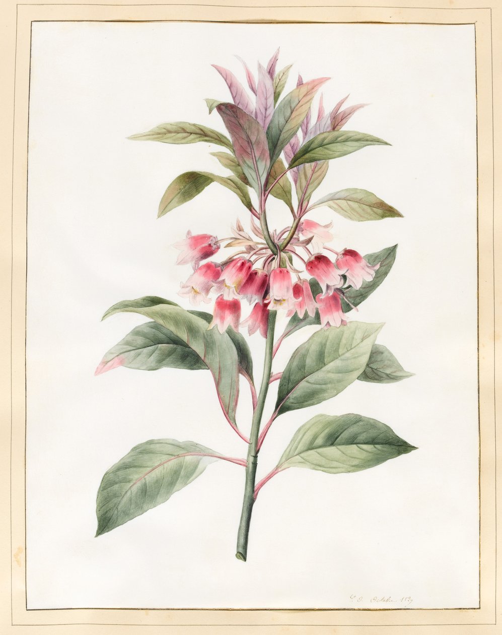 Sem nome, 1827 (wc em pergaminho) de Louise DOrleans