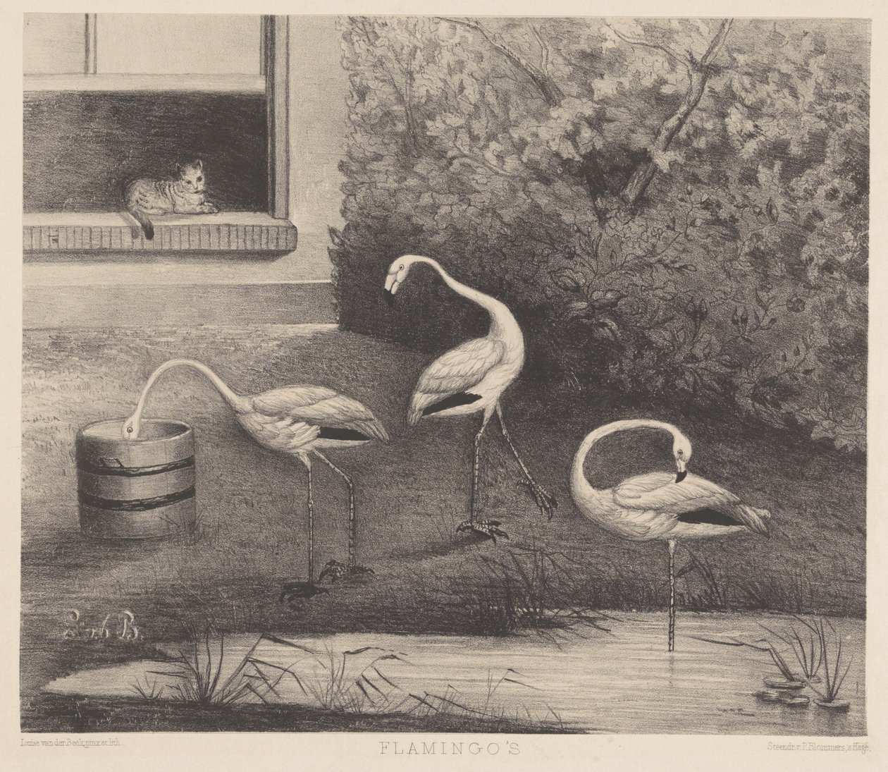 Três flamingos e um gato de Louise Marie Françoise van der Beek