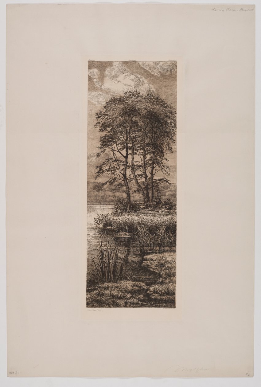 Manhã de Louise Ravn Hansen