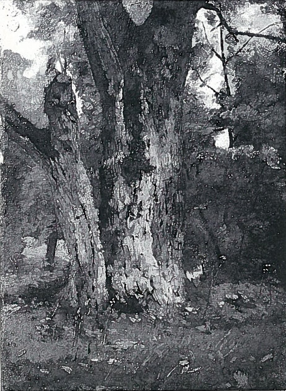 Aweiderpark em Konigsbergn de Lovis Corinth