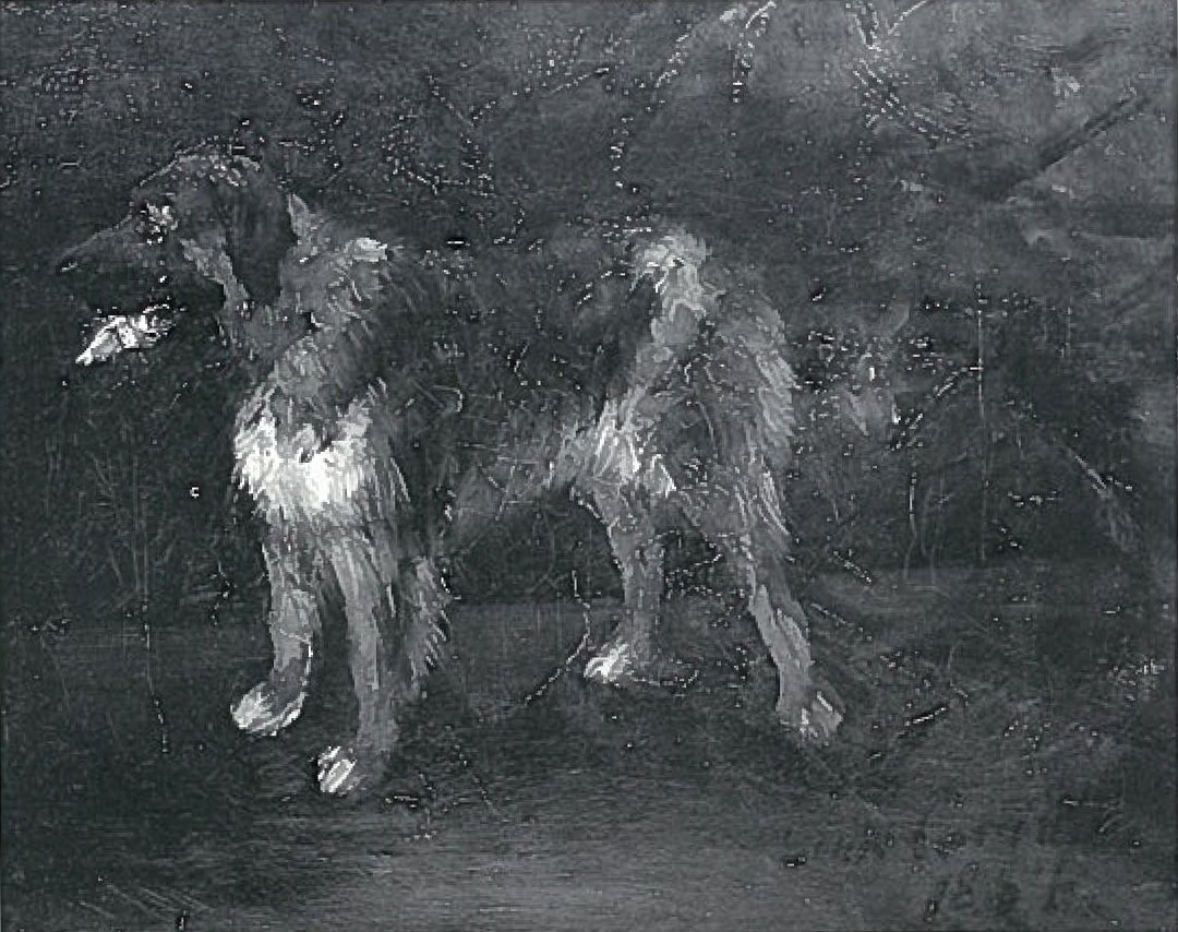 estudos cães de Lovis Corinth