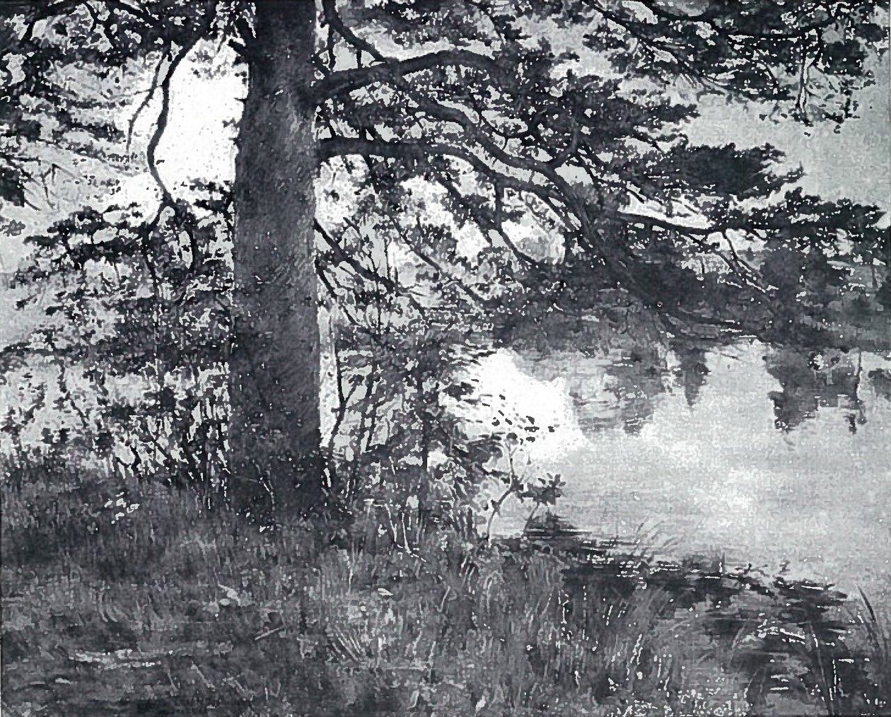 Pine na água de Lovis Corinth