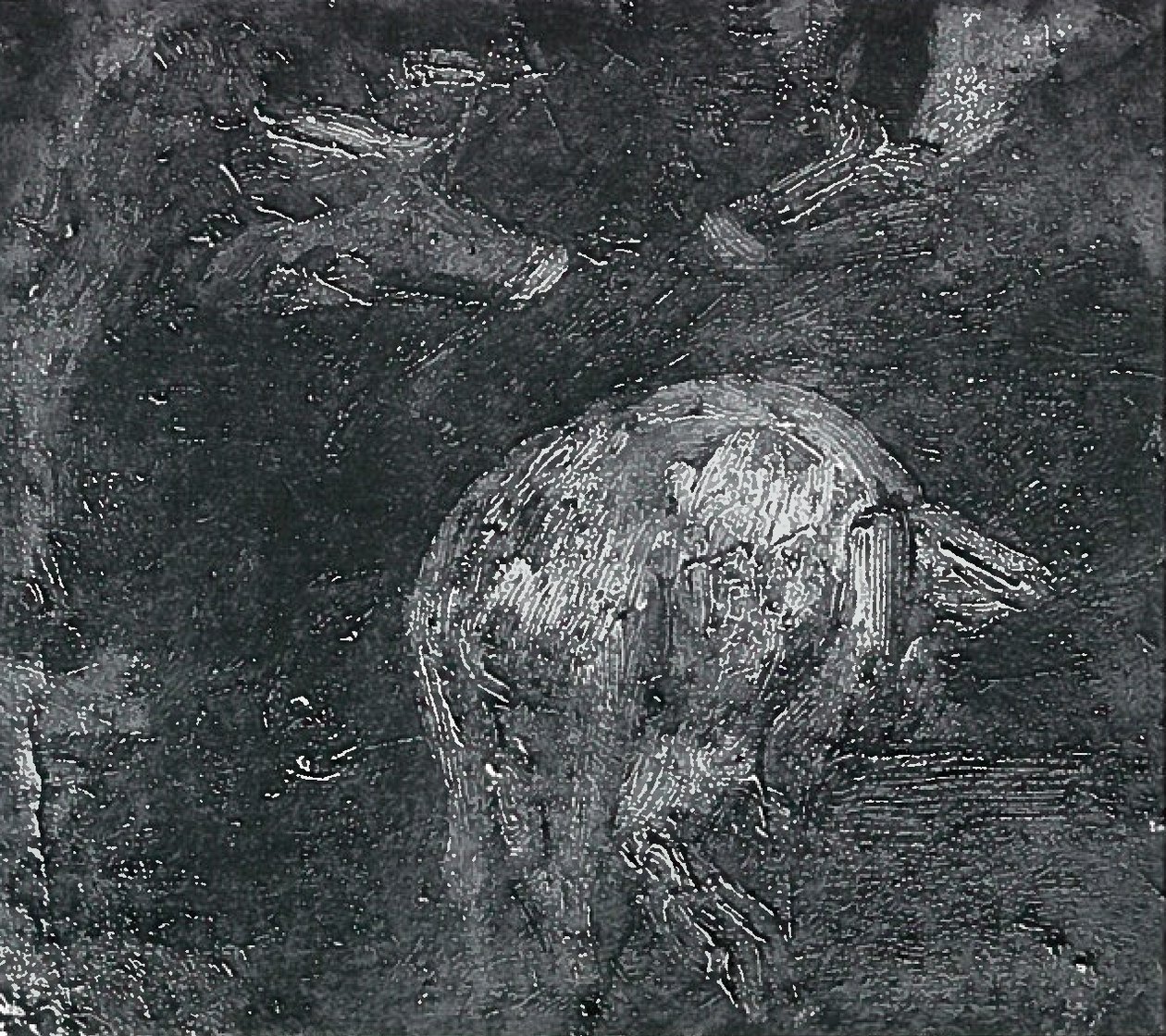 Estudos de porcos de Lovis Corinth