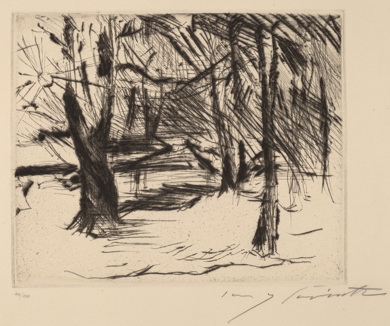 Bäume mit Sonne Trees in the Sun, 1920-1921. de Lovis Corinth