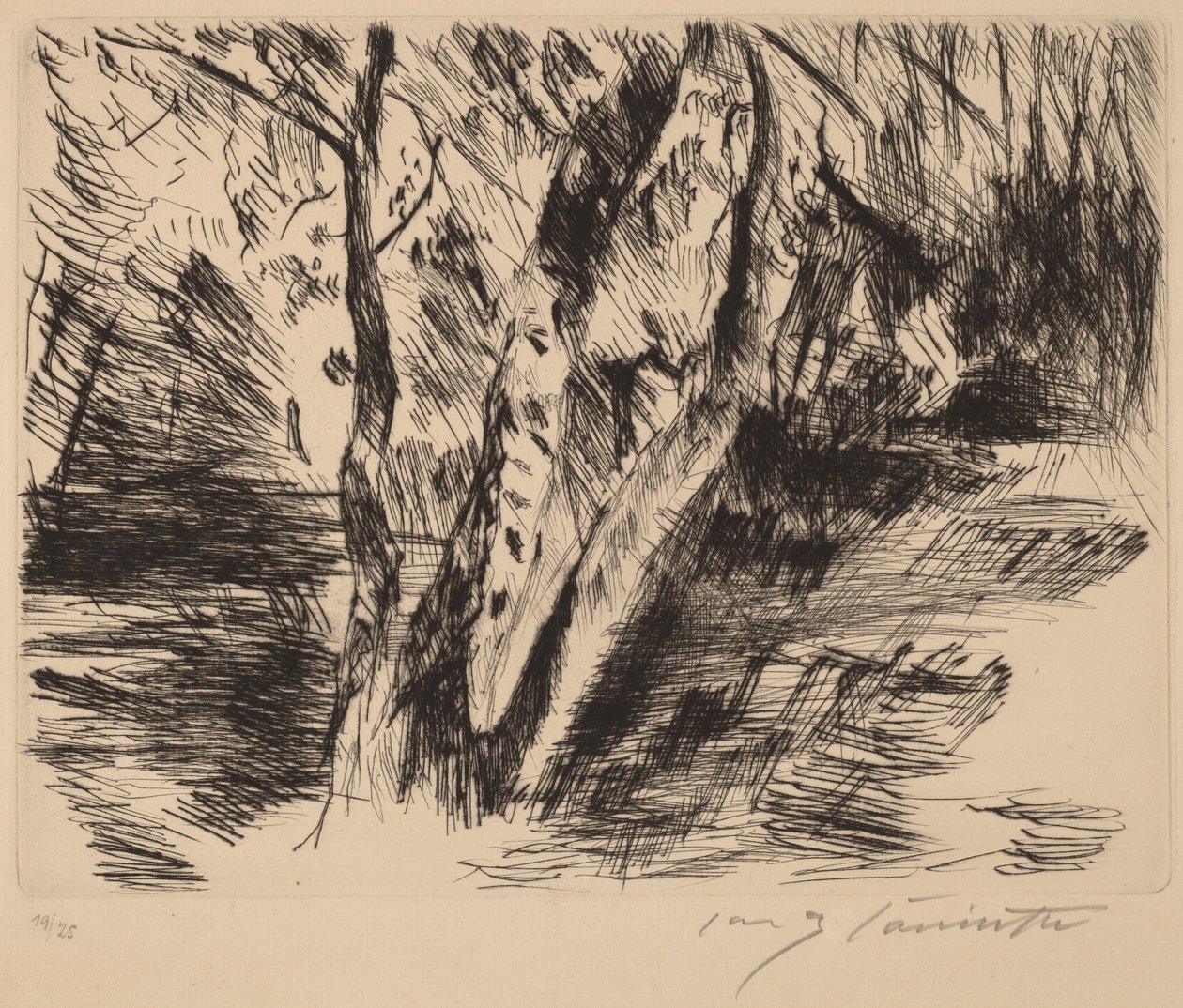 Bétulas no Tiergarten de Lovis Corinth