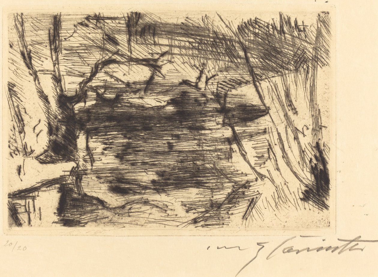 Der Neue See (O Novo Lago) de Lovis Corinth