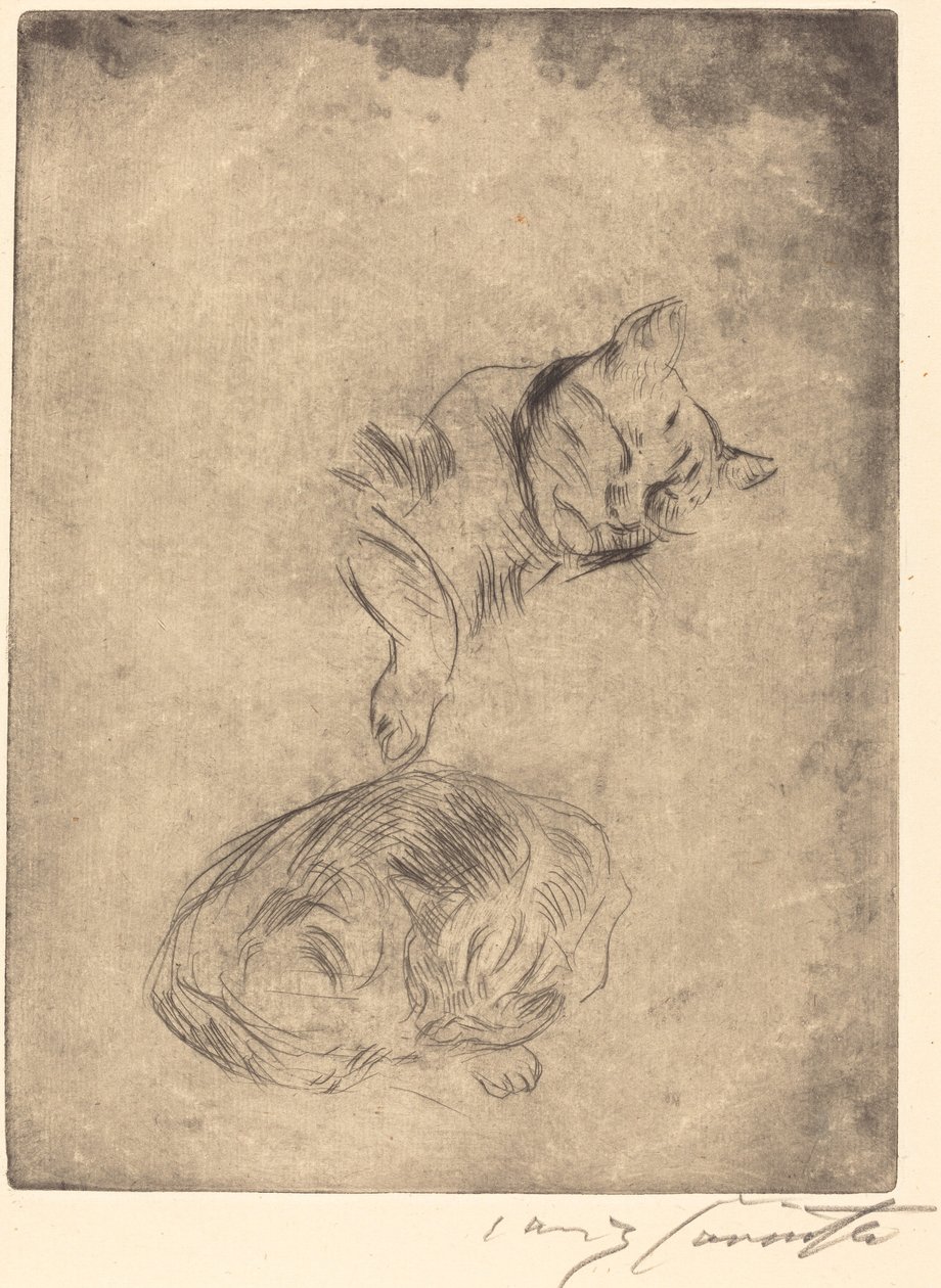 Katzenstudie (Estudo dos Gatos) de Lovis Corinth