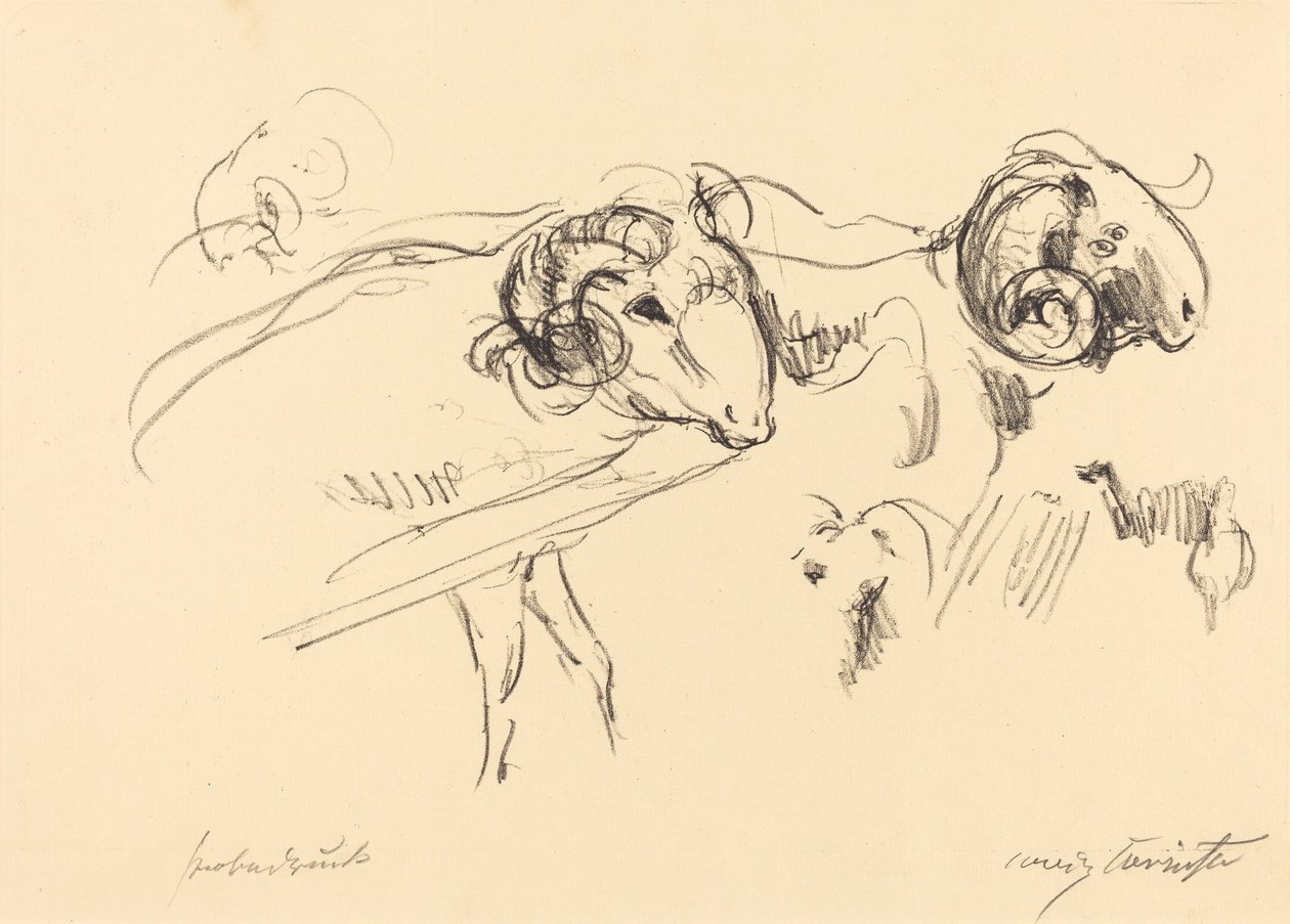 Schafböcke (Carnes) de Lovis Corinth
