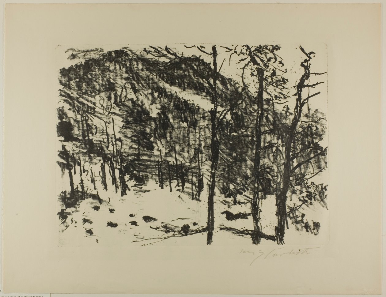 O Vale, desde o início da primavera nas montanhas de Lovis Corinth