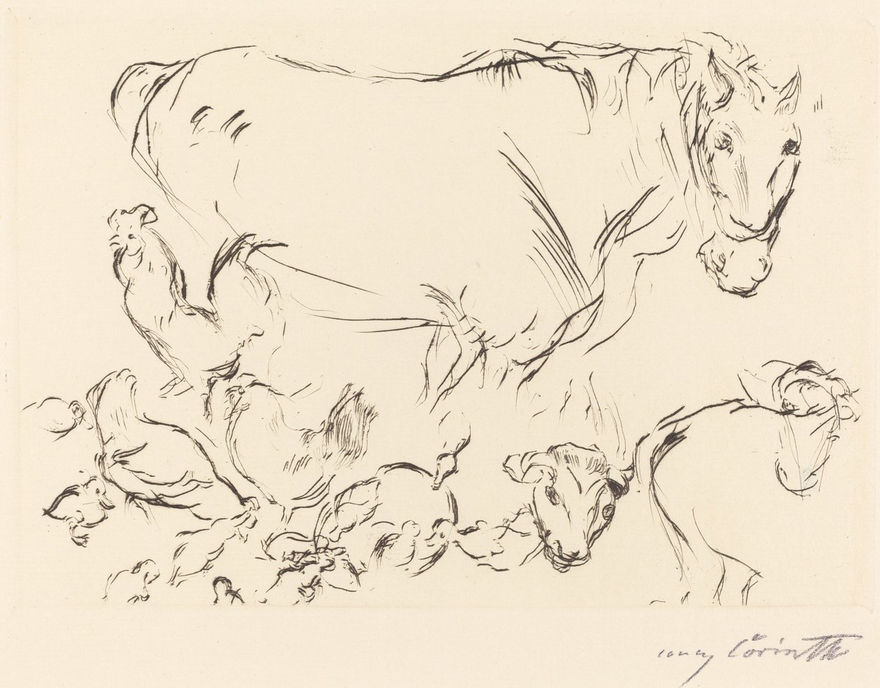 Vários estudos em animais de Lovis Corinth