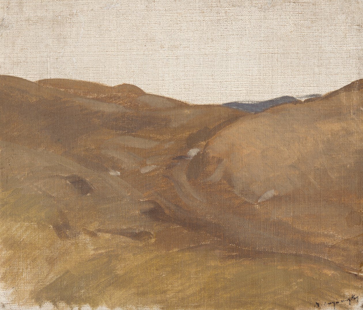 Paisagem, com, céu branco de Laszlo Mednyanszky