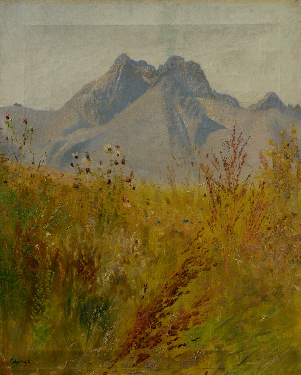 Pico Lomnický de Laszlo Mednyanszky