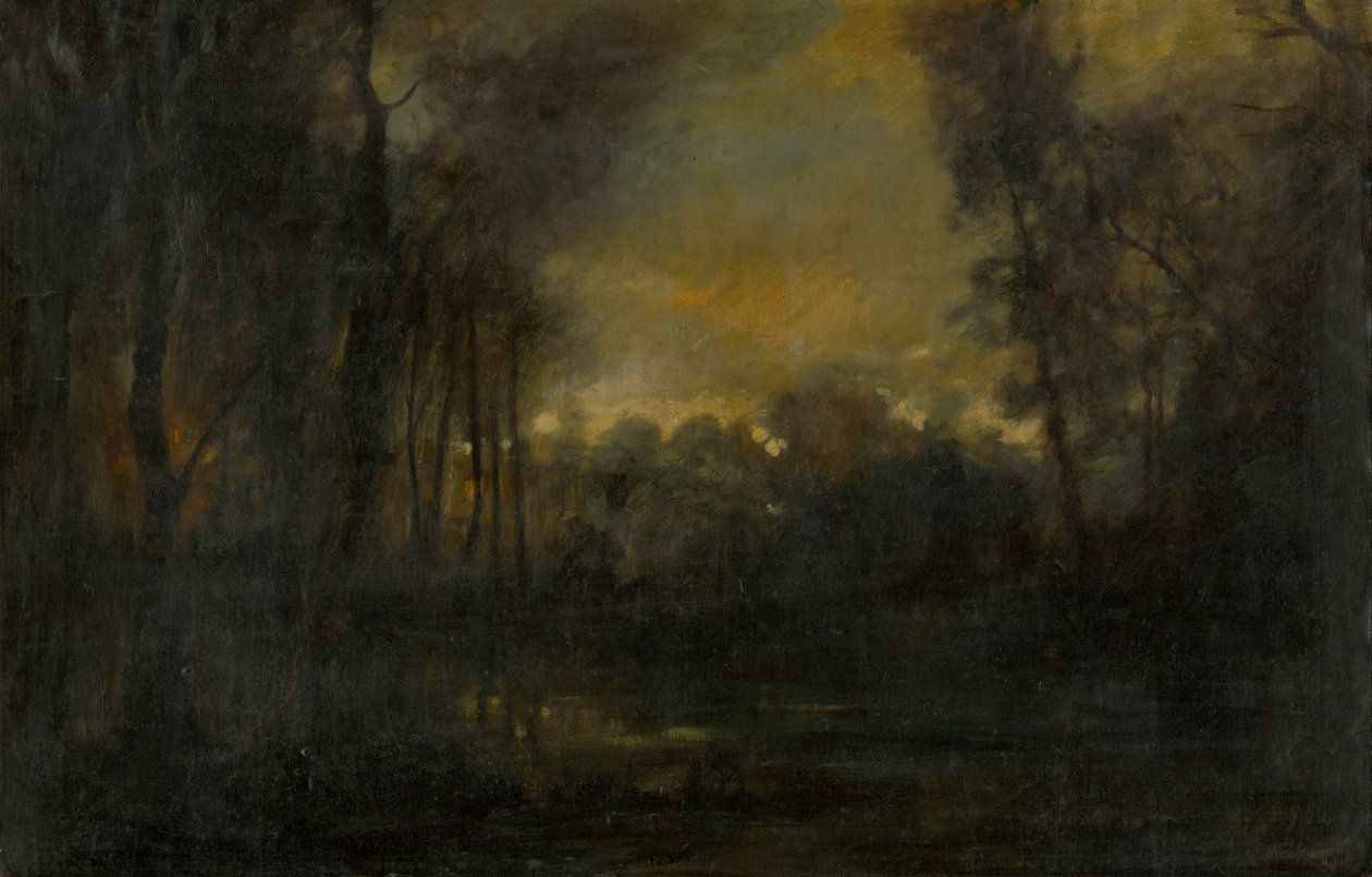 Paisagem pantanosa de Laszlo Mednyanszky