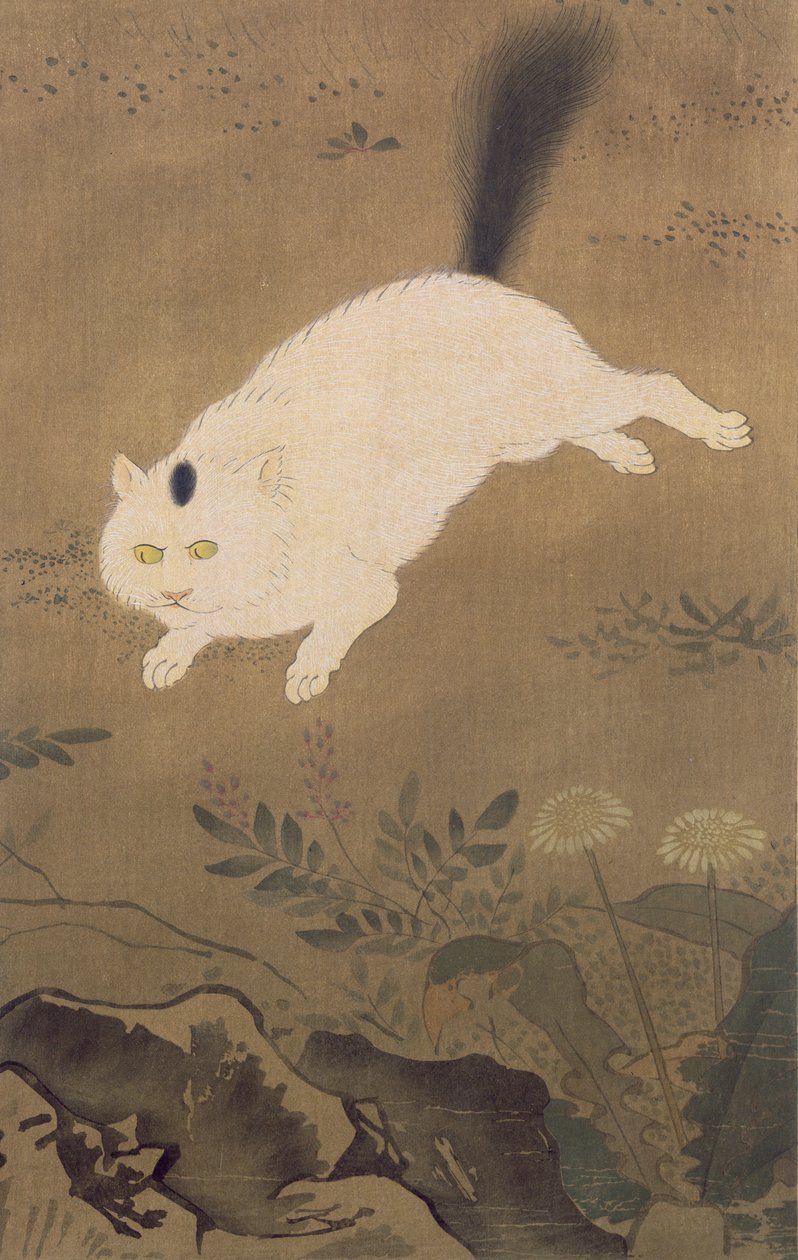 Um gato branco, ilustração da revista The Kokka, publicada no Japão, 1896-7 de Lu Ji