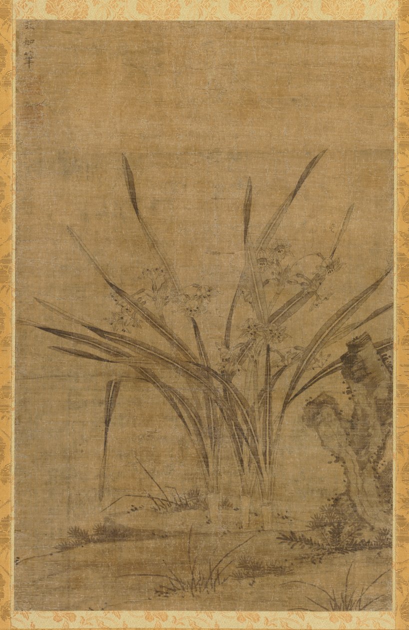 Narciso e pedras de Lu Tianru