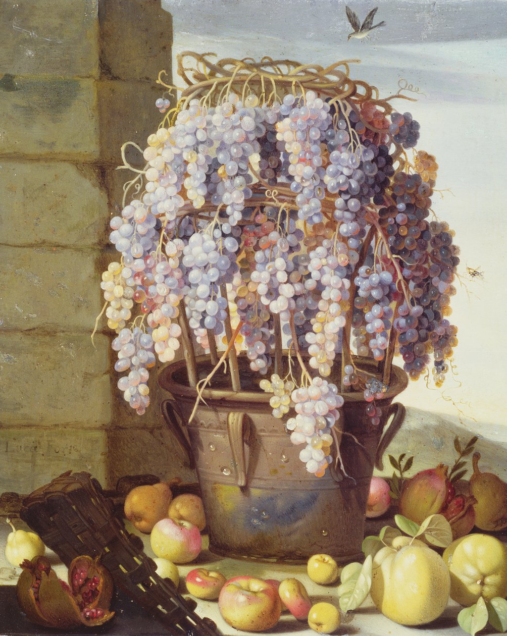 Ainda vida de frutas e uvas de Luca Forte