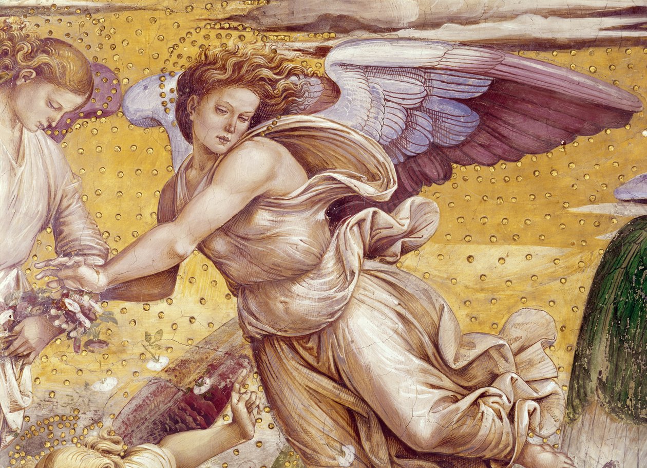 Detalhe do Eleito no Paraíso, da Capela da Madonna di San Brizio, 1499-1504 de Luca Signorelli
