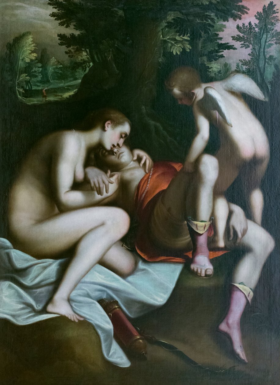 A morte de Adónis, antes de 1585, Luca Cambiaso (óleo sobre tela) de Luca Cambiaso