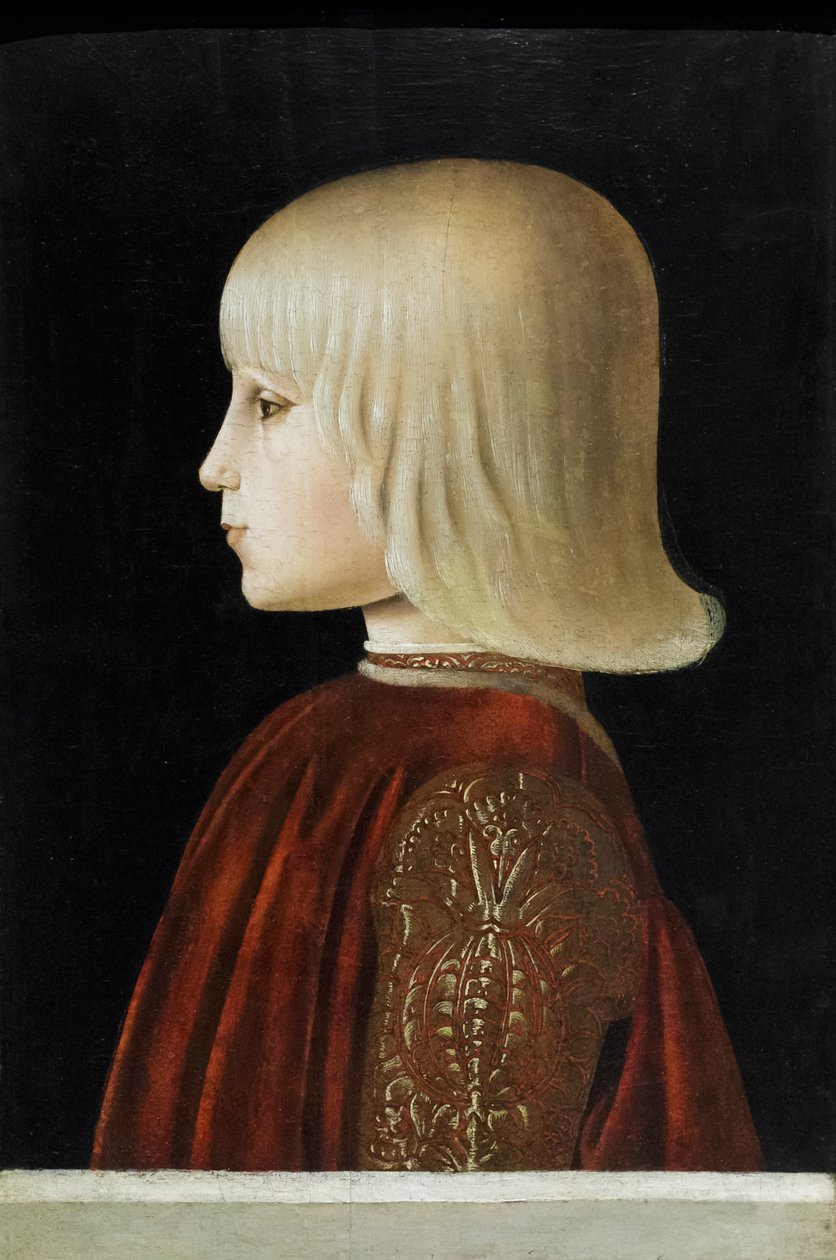 Retrato de um jovem (Guidubaldo da Montefeltro), c.1478 (têmpera sobre painel) de Luca Signorelli