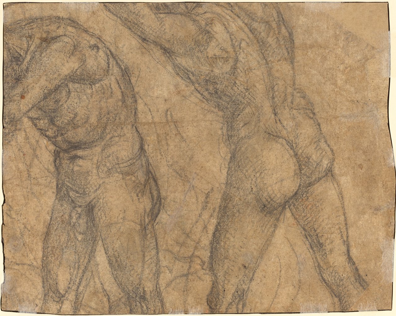 Duas Figuras Nuas [verso] de Luca Signorelli