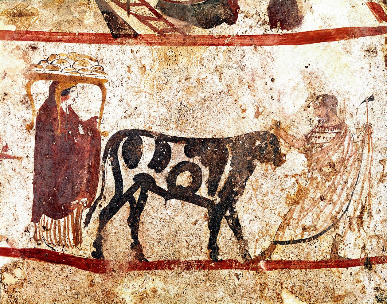 Um touro conduz sobre o altar do sacrifício afresco Lucaniano do século IV a.C., da necrópole de Andriuolo em Paestum, Itália. Museo nazionale archeologico, Paestum de Lucanian School