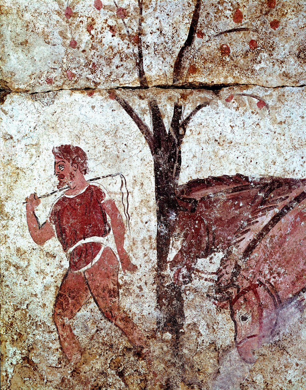 Um camponês puxando dois cavalos Lucanian fresco do século 4 aC, da necrópole de Paestum, Itália. Museo nazionale archeologico, Paestum de Lucanian School
