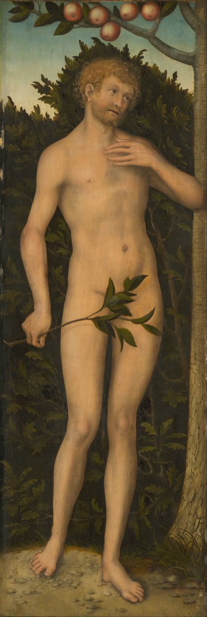 Adão de Lucas Cranach the Elder