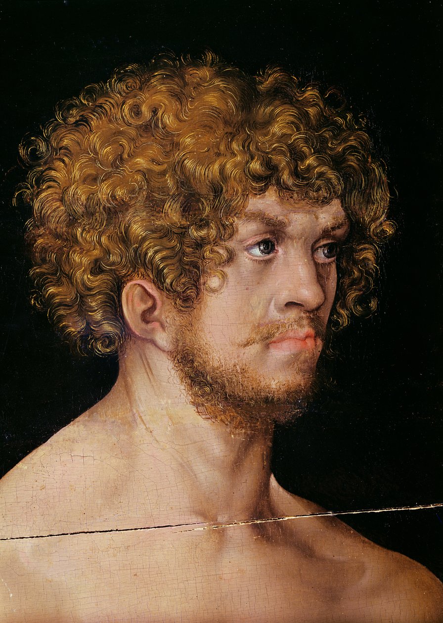 Adão e Eva, detalhe da cabeça de Adão (detalhe de 159264) de Lucas Cranach the Elder
