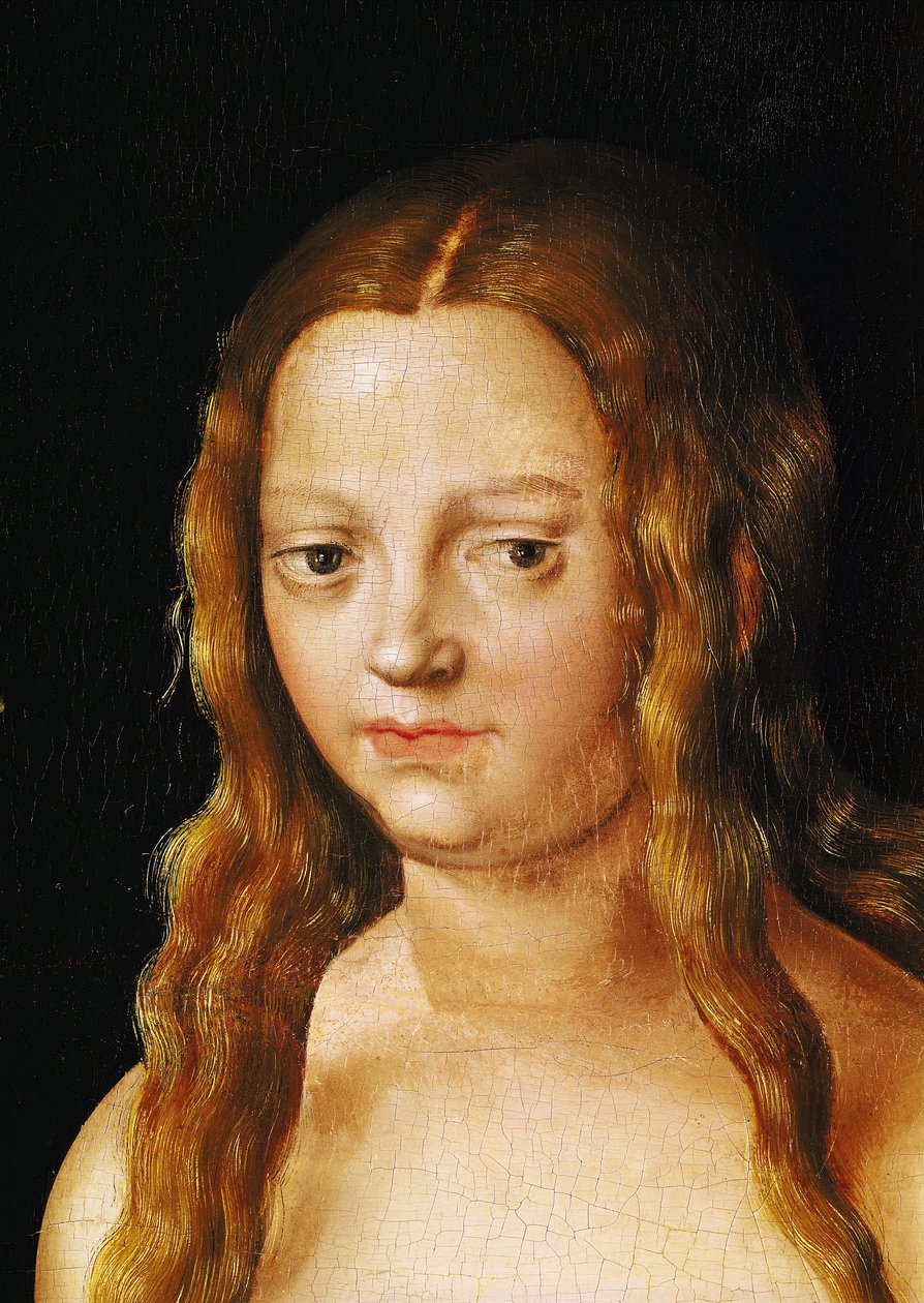 Adão e Eva, detalhe da cabeça de Eva (detalhe de 159264) de Lucas Cranach the Elder