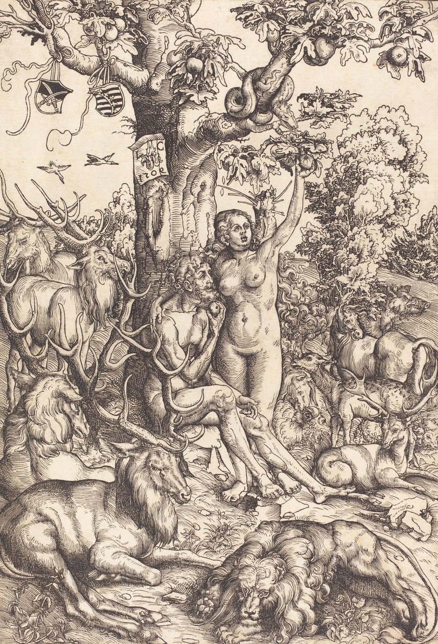 Adão e Eva (Galeria Nacional de Arte) de Lucas Cranach the Elder