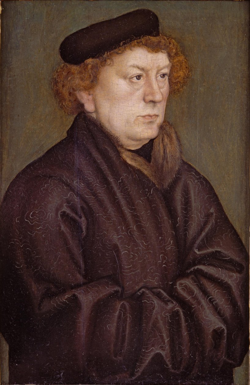 Retrato de um estudioso de Lucas Cranach the Elder